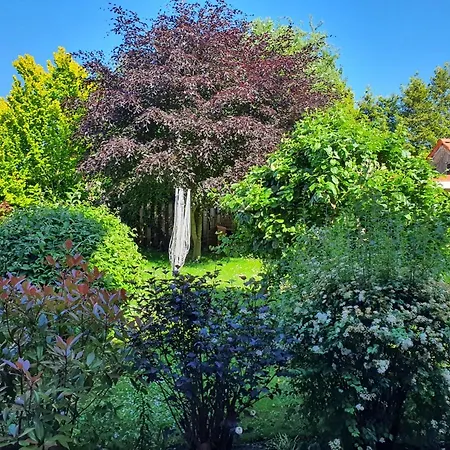 Apartamento Wunderschoene Und Moderne Altstadtwohnung Im Herzen Von