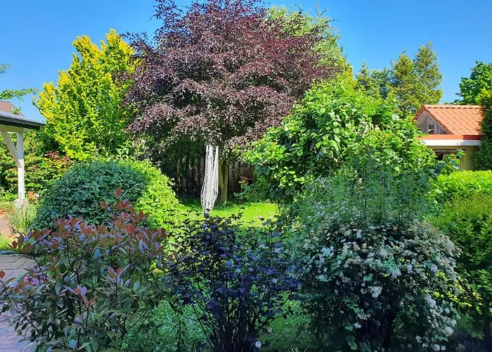 公寓 Wunderschoene Und Moderne Altstadtwohnung Im Herzen Von
